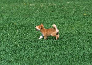 ニーナオットソンの知育玩具専門通販