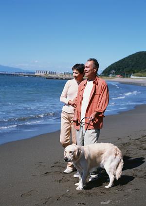 大切な家族を守れるペット保険の魅力
