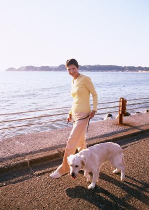 心がこもったペット葬儀で見送るなら