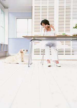 ペットと家族のための安心引越しガイド：大阪でのスムーズな移動を実現する方法