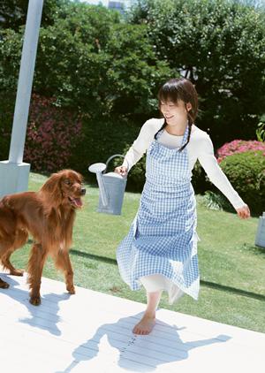 信頼と実績のシロアリ駆除サービス｜アサンテの安心サポート