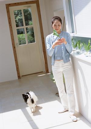 ロイヤルカナンの「ベッツプラン」