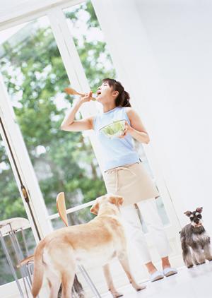 ペットの健康を守る!獣医師推奨の療法食を通販で簡単に手に入れる方法