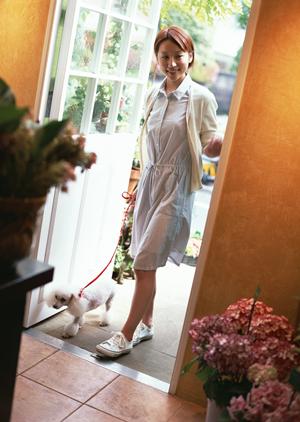 マンチカンブリーダーならこちらがお勧め